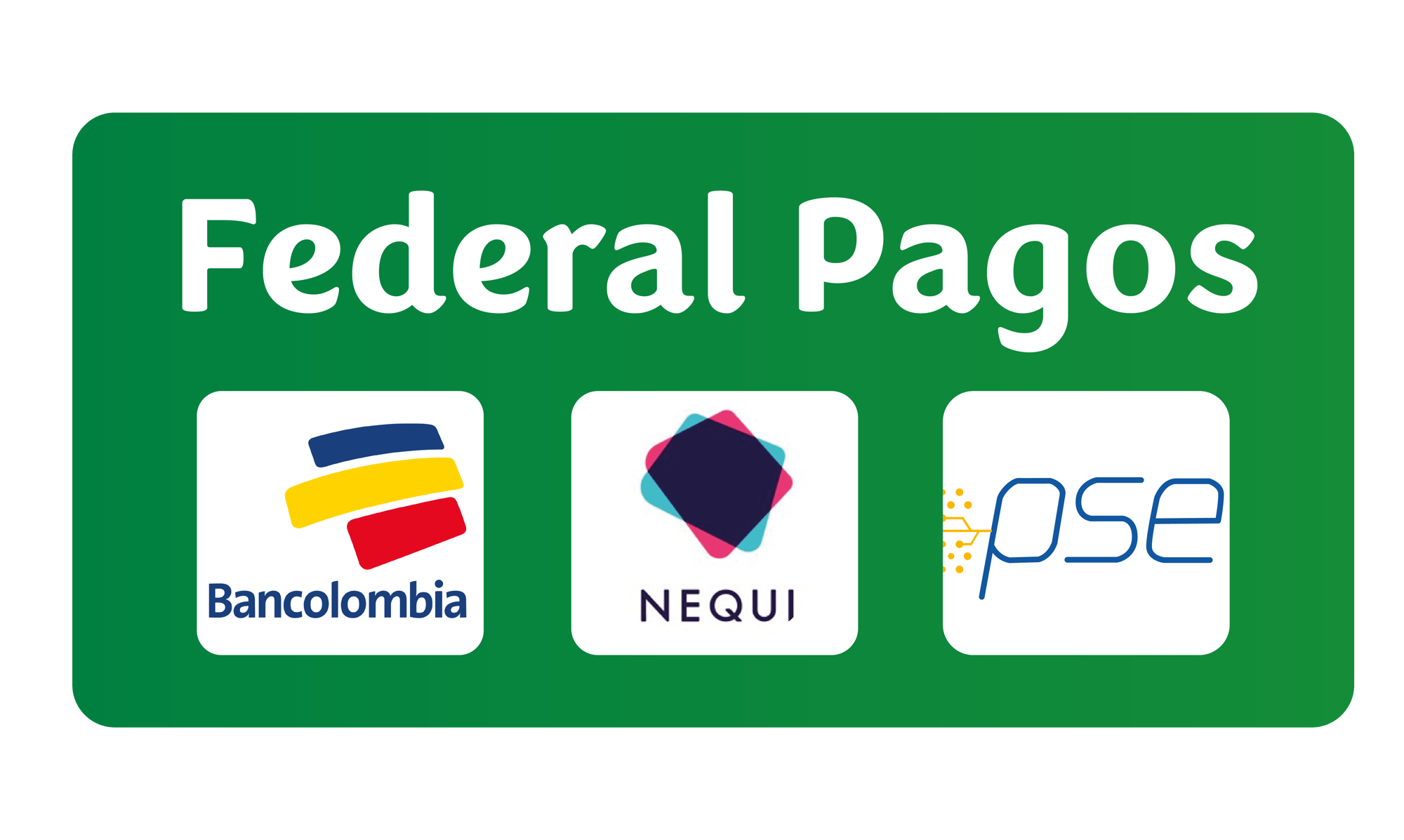  Federal pagos